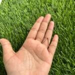 Beautiful V Ring Rosegold Adjustable size ✨1087