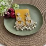 Party wear beautiful Earrings✨1091