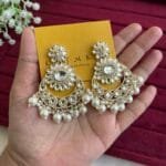 Beautiful party wear earrings ✨1345