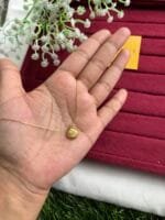 Beautiful smile design one side white circle design premium trendy Necklace ✨1492 - Image 3