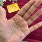 Stainless steel Beautiful cute Rose design Golden Necklace 😍