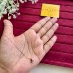 Beautiful Rose design Rosegold Necklace 😍🌹