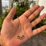 Beautiful flower design Golden Necklace😍