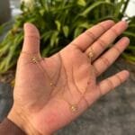 Beautiful flower design Golden Necklace✨