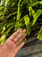 Beautiful flower design Golden open bangle🌸Diameter 5,5.5cm measure size before ordering