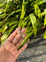 Beautiful Golden open bangle🌟Diameter 5,5.5cm small wrist size🌸measure size