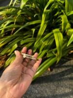 Beautiful Golden open bangle🌟Diameter 5,5.5cm small wrist size🌸measure size - Image 2