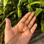 Beautiful Cherry Charm Golden Bracelet 🌸  1872
