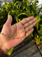 Stainless steel Beautiful circle design Golden Necklace - Image 2