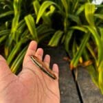 Beautiful Green Stone Open Bangle 🌸 1855