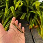 Beautiful Green stone small size Open bangle🌟suits 2,2.2 bangle size