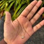 Beautiful Golden Necklace 😍