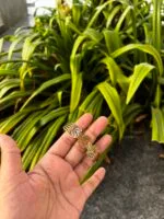 Beautiful leaf design Golden Open bangle✨ - Image 4