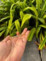 Beautiful stone Design stainless steel Golden Open Bangle✨ - Image 4