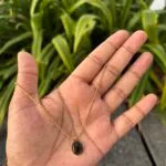 Beautiful black oval design Necklace ❤️