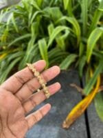 Beautiful stainless steel Golden Open Bangle✨