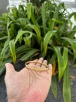Beautiful stainless steel Golden Open Bangle✨ - Image 4