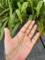 Beautiful double layer bracelet 🌟 - Image 3