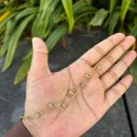 Beautiful double layer bracelet 🌟