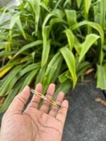 Beautiful stainless steel Golden Open Bangle✨ - Image 4