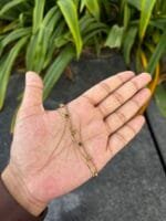 Beautiful Rose design Double layer Golden Bracelet ❤️ - Image 2