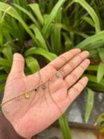 Beautiful multicolour stone bracelet ✨