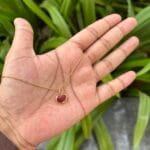 Beautiful Red heart Golden Necklace❤️