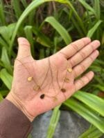 Beautiful charm Golden Necklace✨