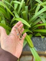 Beautiful evil eye design baby bangle suits 2,2.2 bangle size Diameter 5,5.5cm - Image 2