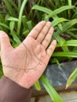 Beautiful stainless steel Golden Necklace✨