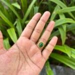 Beautiful Green Stone Adjustable Ring 🌸 1857