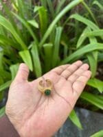 Beautiful Green Stone Adjustable Ring 🌸 1857 - Image 4