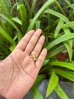 Beautiful Golden Adjustable Ring 🌸 1856