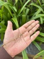 Beautiful Multicolour Golden Bracelet 🌸 1870 - Image 4
