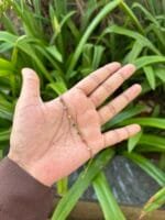 Beautiful Multicolour Golden Bracelet 🌸 1870 - Image 2