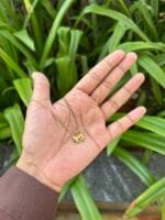 Beautiful Bow Golden Necklace 🎀 1859 - Image 2