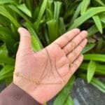 Beautiful Rose Golden Necklace 🌸 1864