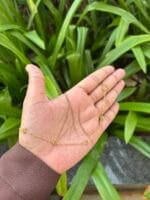 Beautiful Rose Golden Necklace 🌸 1864
