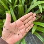 Cute Green Stone Golden Necklace 🌸 1862