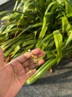 Beautiful Baby Bangle 🌸 1882  - Image 3