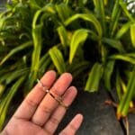 Beautiful Small Sized Bangle 🌸 1883 