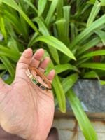 Beautiful Multicolour Baby Bangle 🌸 1885 - Image 3