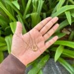 Beautiful Golden Necklace 🌸 1874