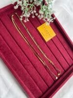 Beautiful Double layer Golden Anklet✨
