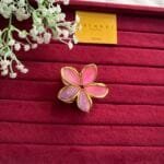 Trendy Ombré Hair Clip 🌸 2046