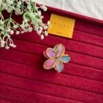 Trendy Ombré Hair Clip 🌸 2045