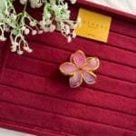 Trendy Ombré Hair Clip 🌸 2044