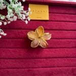 Trendy Ombré Hair Clip 🌸 2041
