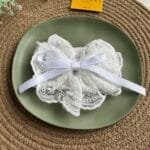 Cute Hair Bow Clip 🎀 2058