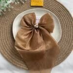 Elegant Hair Bow Clip 🎀 2064